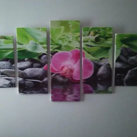 Apartament Euskal Dreams Bermeo