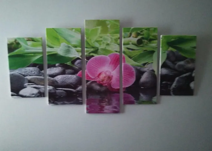 Apartamento Euskal Dreams Bermeo