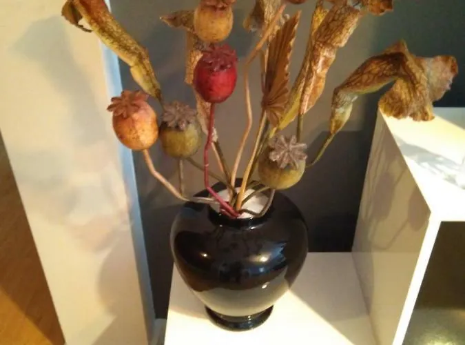 Euskal Dreams Bermeo